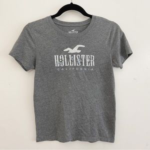 NWOT Hollister Embroidered Scoop Neck T-Shirt Gray X-Small